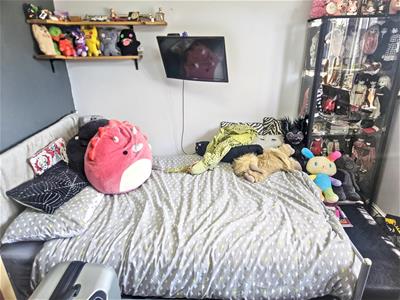 Picture 11